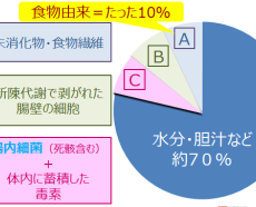 便はどんなものでできてるの？