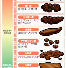 ブリストルスケール