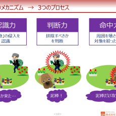 免疫 3つのプロセス