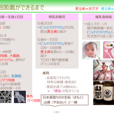 腸内細菌叢ができるまで