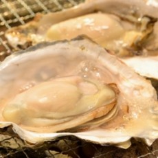 牡蠣に当たらない人になろう！