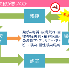なぜ便秘が悪いのか