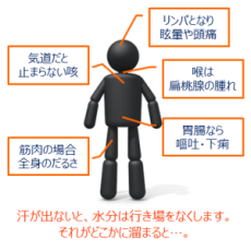 夏は汗をかきましょう